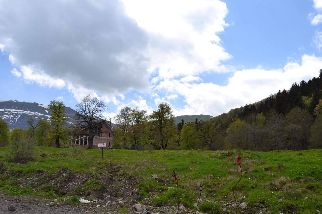 Orbi Palace Eleonora Bakuriani Bagian luar foto